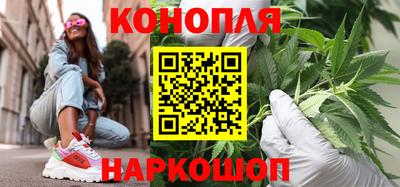 шишки Новозыбков