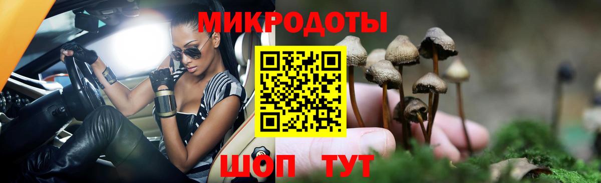 купить закладку  Псилоцибиновые грибы мухоморы  Вход с VPN  Псилоцибиновые грибы прущие грибы  Тара 
