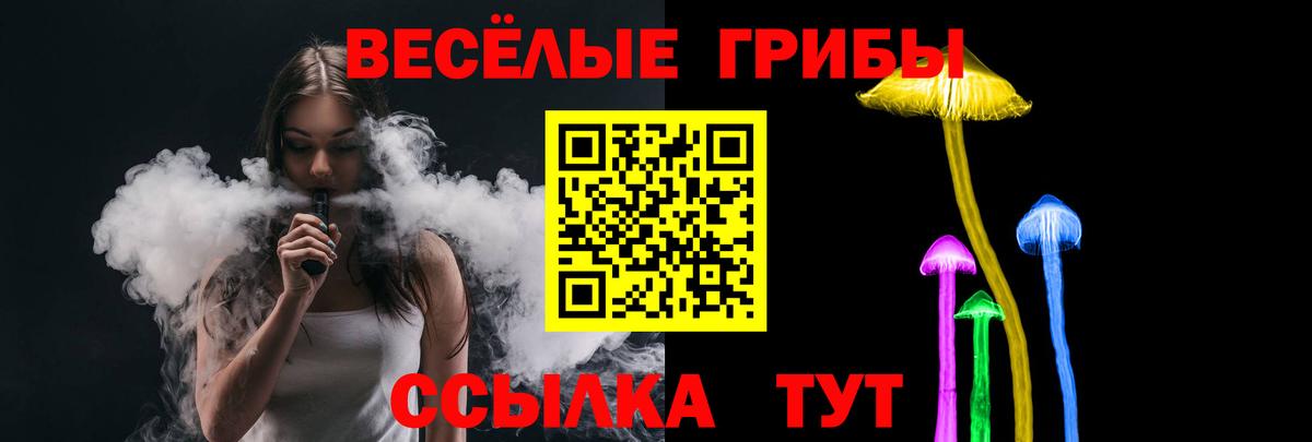 Псилоцибиновые грибы мицелий Тара